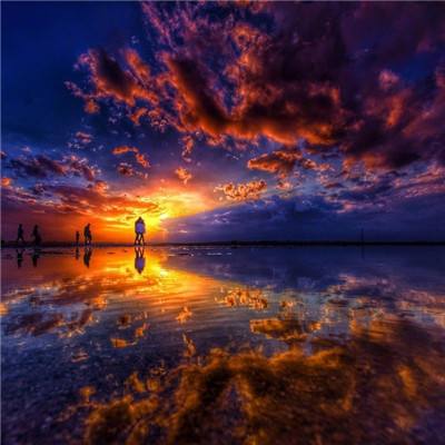 鸭脖app下载下载手机版